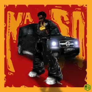 Shallipopi – Na So
