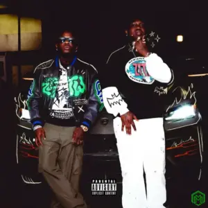 Je m’appelle audio by Didi B feat. Zlatan, Chley