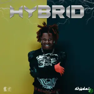 Hybrid Album audio by Shoday