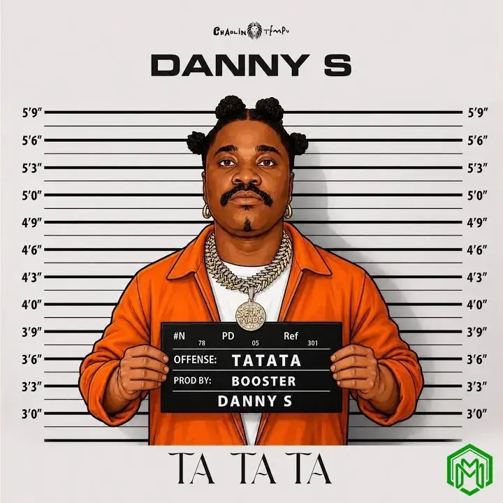 Ta Ta Ta audio by Danny S