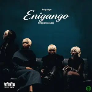 Chanel (Cover) audio by Enigango