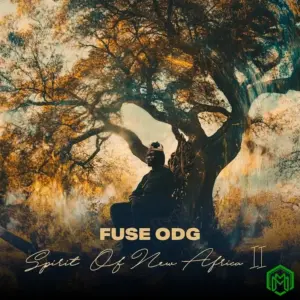 Fuse ODG – Bonfire