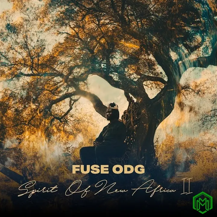 Bonfire audio by Fuse ODG