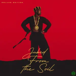 From The Soil (Deluxe) audio by Jubed