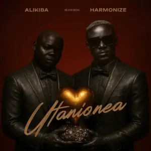 Utanionea audio by Alikiba