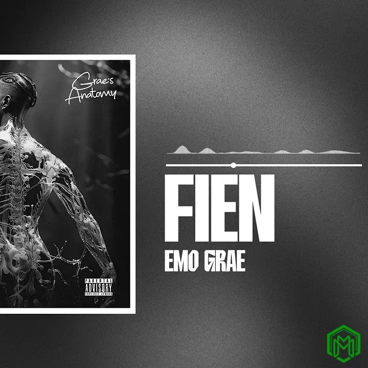 Fien audio by EMO Grae