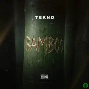 Bamboo Lyrics by Tekno