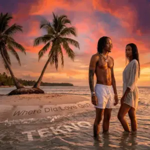 Tekno – Wedding Day