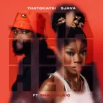 Thatohatsi – Ama hem hem ft. Sjava, ShaunMusiq